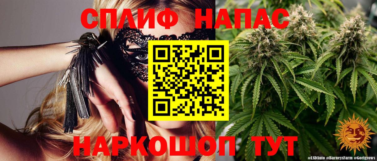 Шишки марихуана планчик Чита